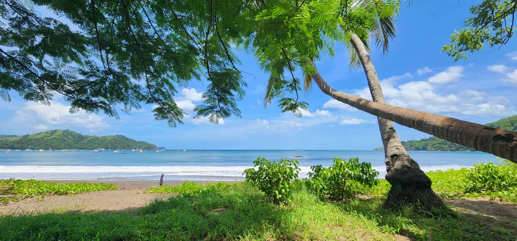 Why Many Expats and Retirees Choose Playas del Coco: Easy Access, Amenities, and Lifestyle
