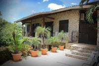 Lomas de Flamingo Villa 4: A Symphony of Luxury! thumbnail
