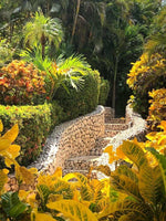 Lomas de Flamingo Villa 4: A Symphony of Luxury! thumbnail