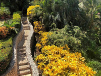 Lomas de Flamingo Villa 4: A Symphony of Luxury! thumbnail