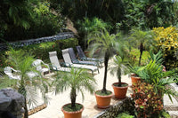 Lomas de Flamingo Villa 4: A Symphony of Luxury! thumbnail