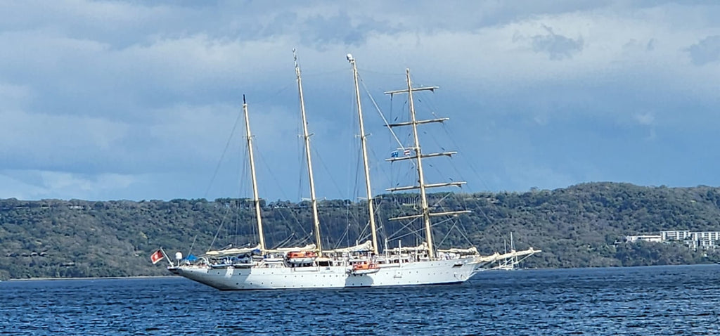 Top 10 Reasons Expats Fall in Love with Costa Rica (Especially Playas del Coco!)