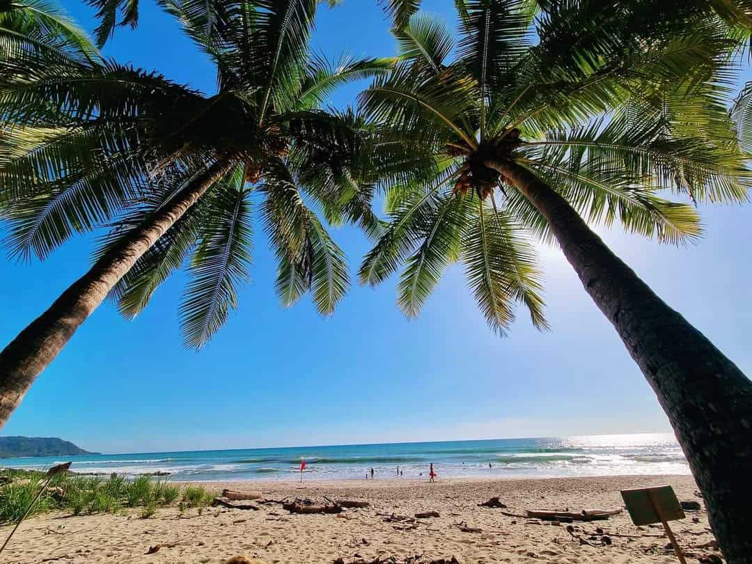 Playa Matapalo