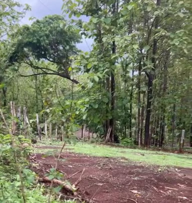 Chocolate Rain Lots | Exceptional 1.89-Acre Development Site Near Lola’s & Avellanas Beach
