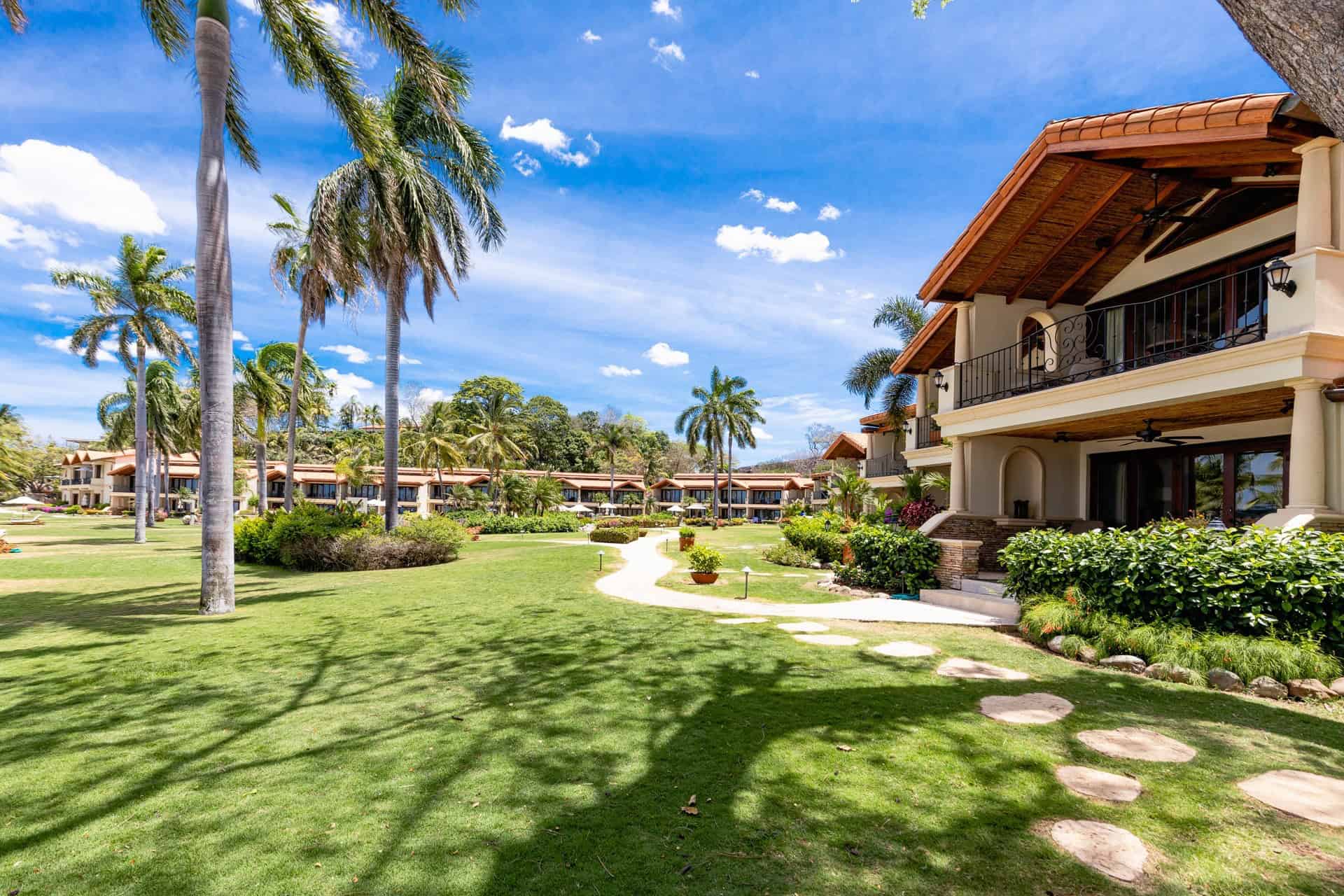 The Palms #33