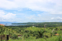 Ocean View Lot in Cactus Heights thumbnail