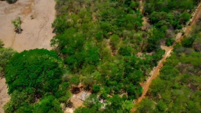 Prime Lot in Avellanas