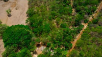 Prime Lot in Avellanas thumbnail