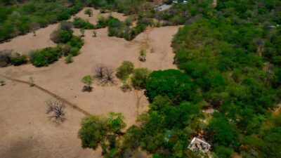 Prime Lot in Avellanas