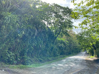 Prime Development Opportunity: Spacious Land for Sale in Playa Hermosa thumbnail
