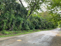 Prime Development Opportunity: Spacious Land for Sale in Playa Hermosa thumbnail