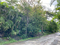 Prime Development Opportunity: Spacious Land for Sale in Playa Hermosa thumbnail