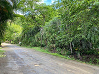 Prime Development Opportunity: Spacious Land for Sale in Playa Hermosa thumbnail