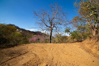 Mountain Views and Ready to Build: Three Building Pads on Playas del Coco Lot, Vista Isla thumbnail