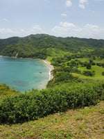 Beachfront Investment Opportunity: Prime Location for Luxury Residences in Punta Del Norte thumbnail