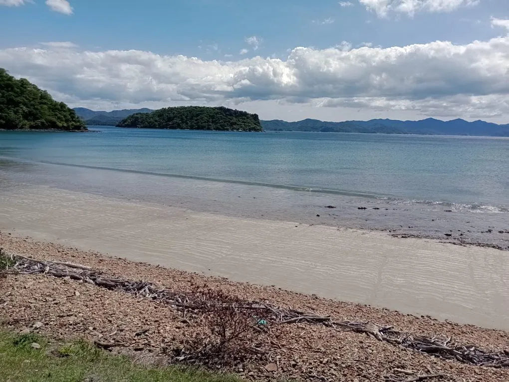Beachfront Investment Opportunity: Prime Location for Luxury Residences in Punta Del Norte