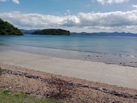 Beachfront Investment Opportunity: Prime Location for Luxury Residences in Punta Del Norte thumbnail