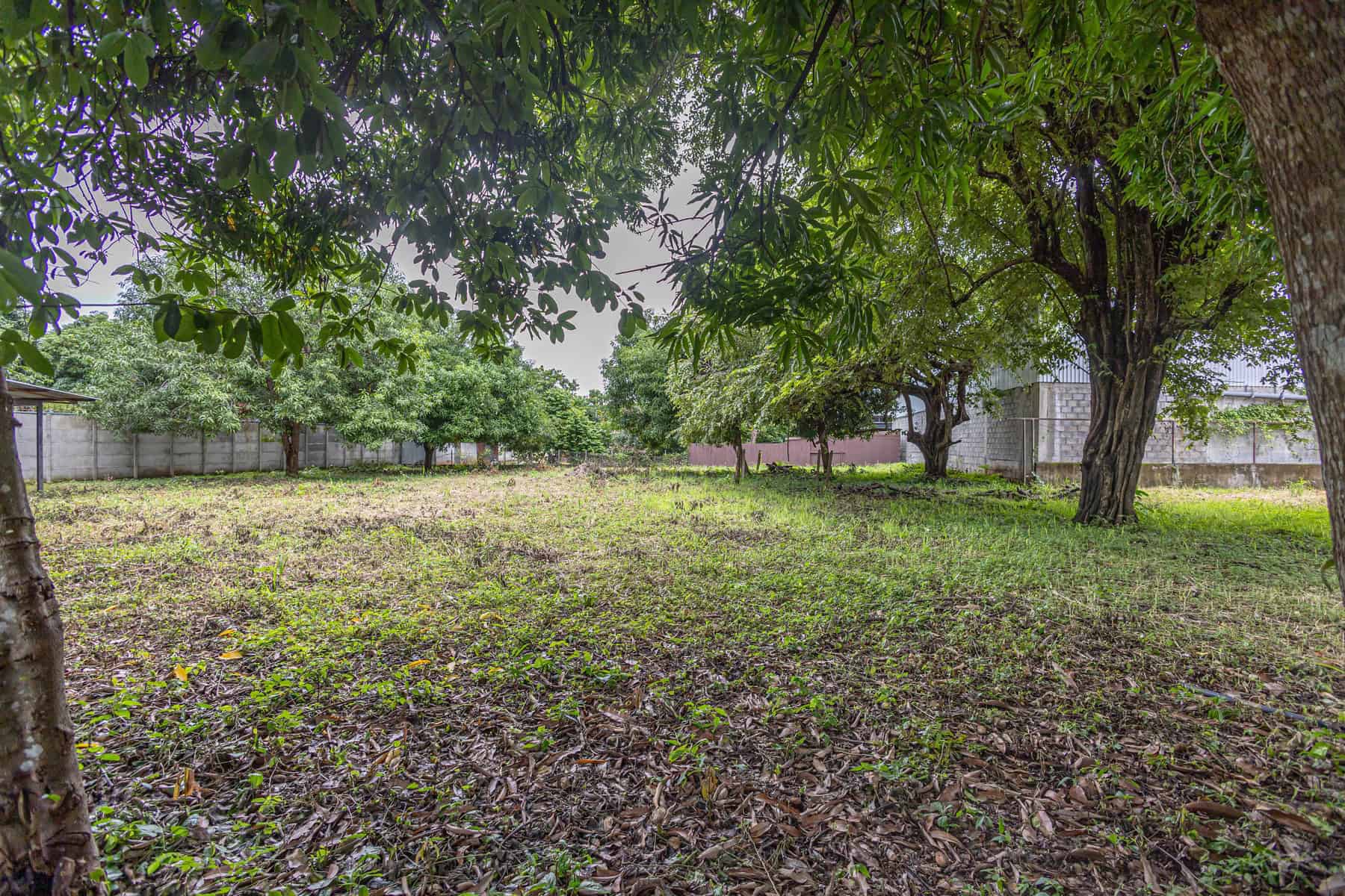 Main Road Frontage – Prime Investment Opportunity for Development