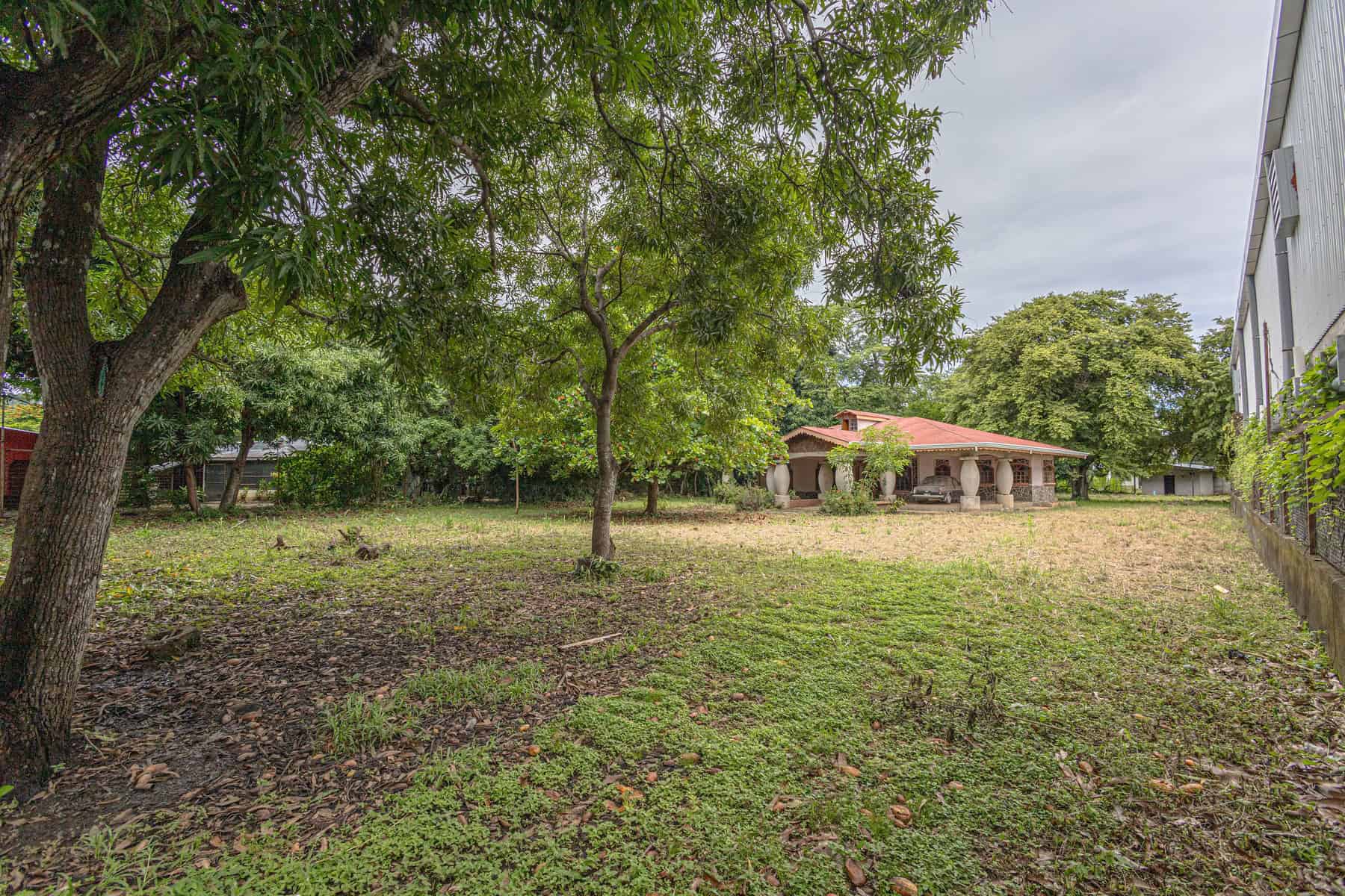 Main Road Frontage – Prime Investment Opportunity for Development