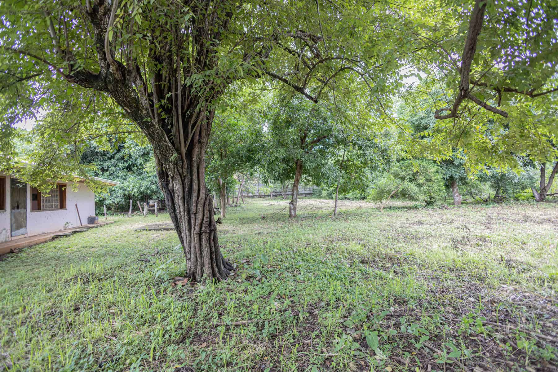 Main Road Frontage – Prime Investment Opportunity for Development