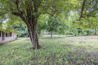 Main Road Frontage – Prime Investment Opportunity for Development thumbnail