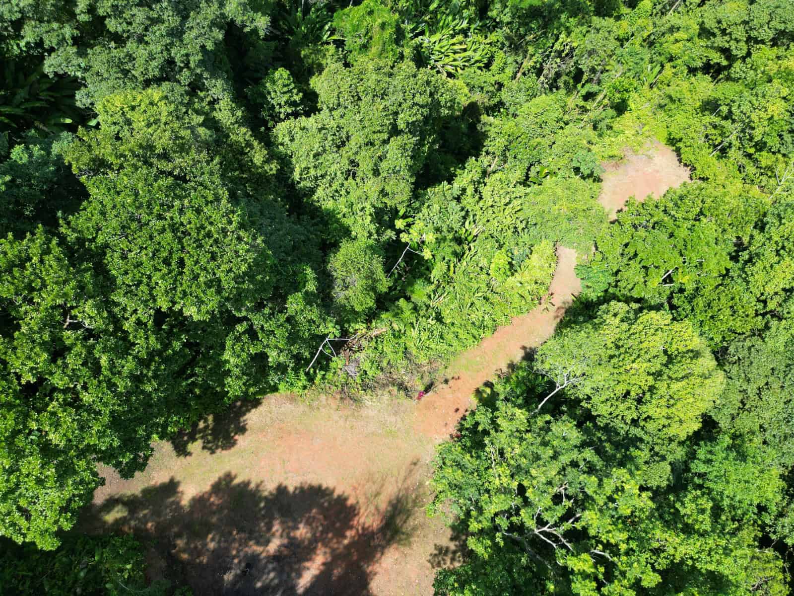 4.5 Acres of Private Ocean View Land