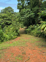 4.5 Acres of Private Ocean View Land thumbnail