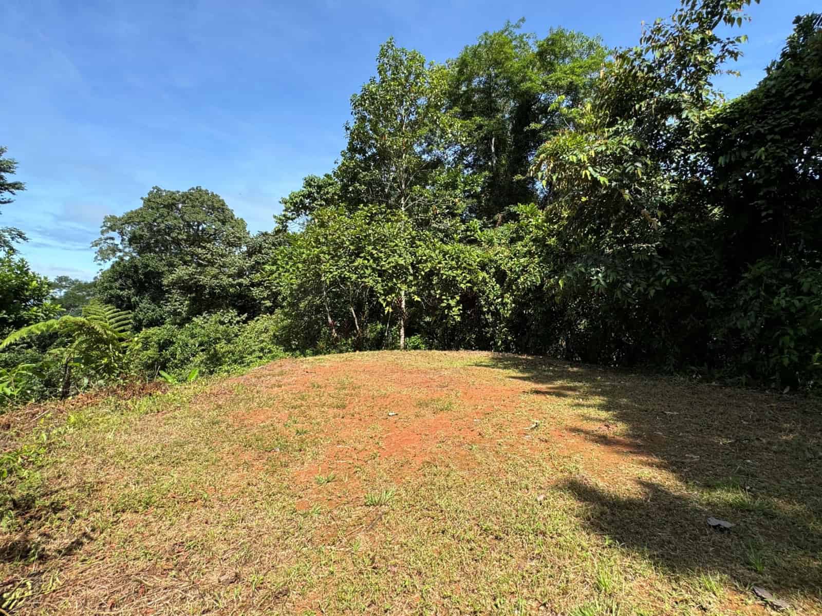 4.5 Acres of Private Ocean View Land