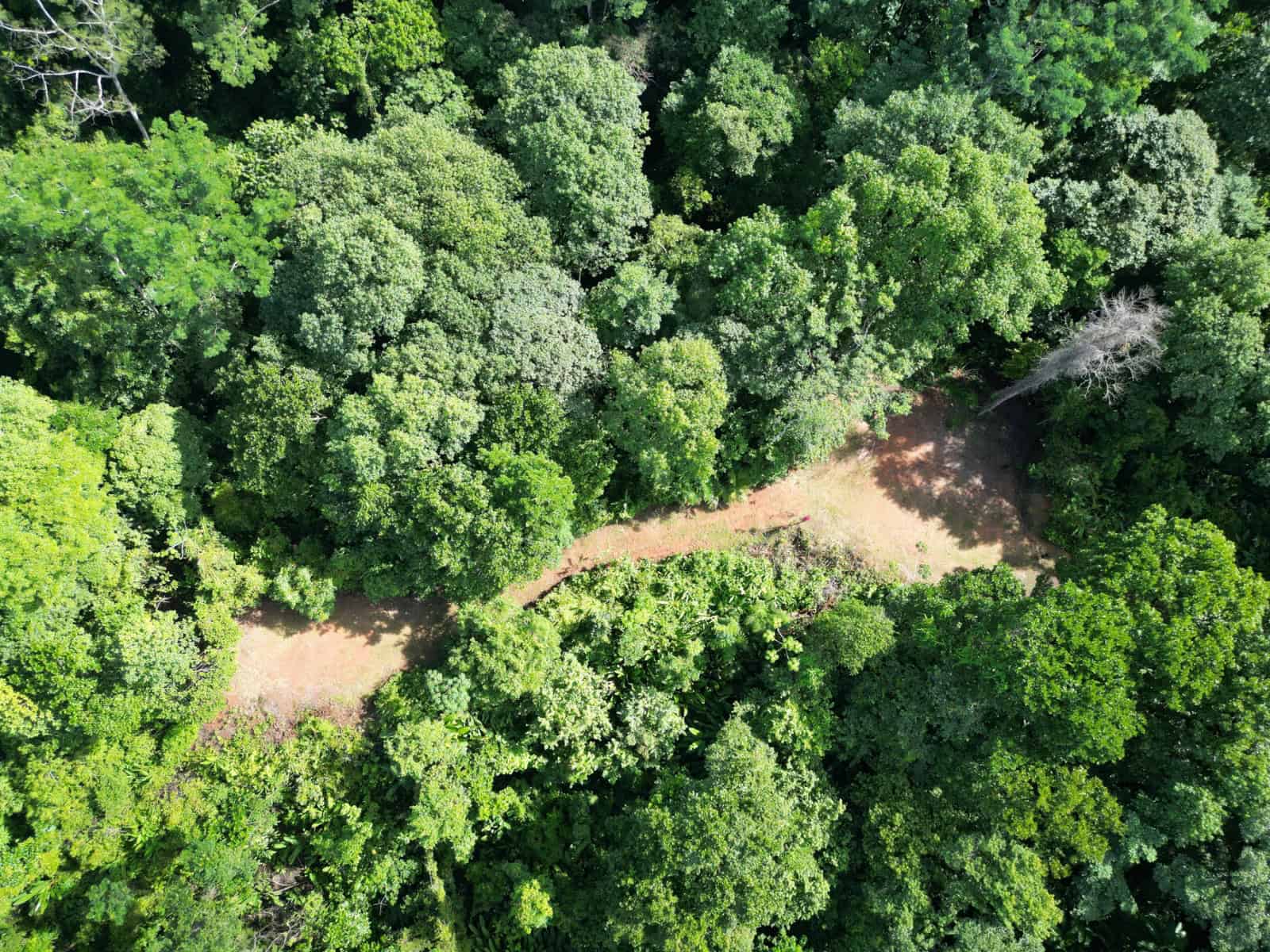4.5 Acres of Private Ocean View Land