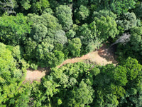 4.5 Acres of Private Ocean View Land thumbnail