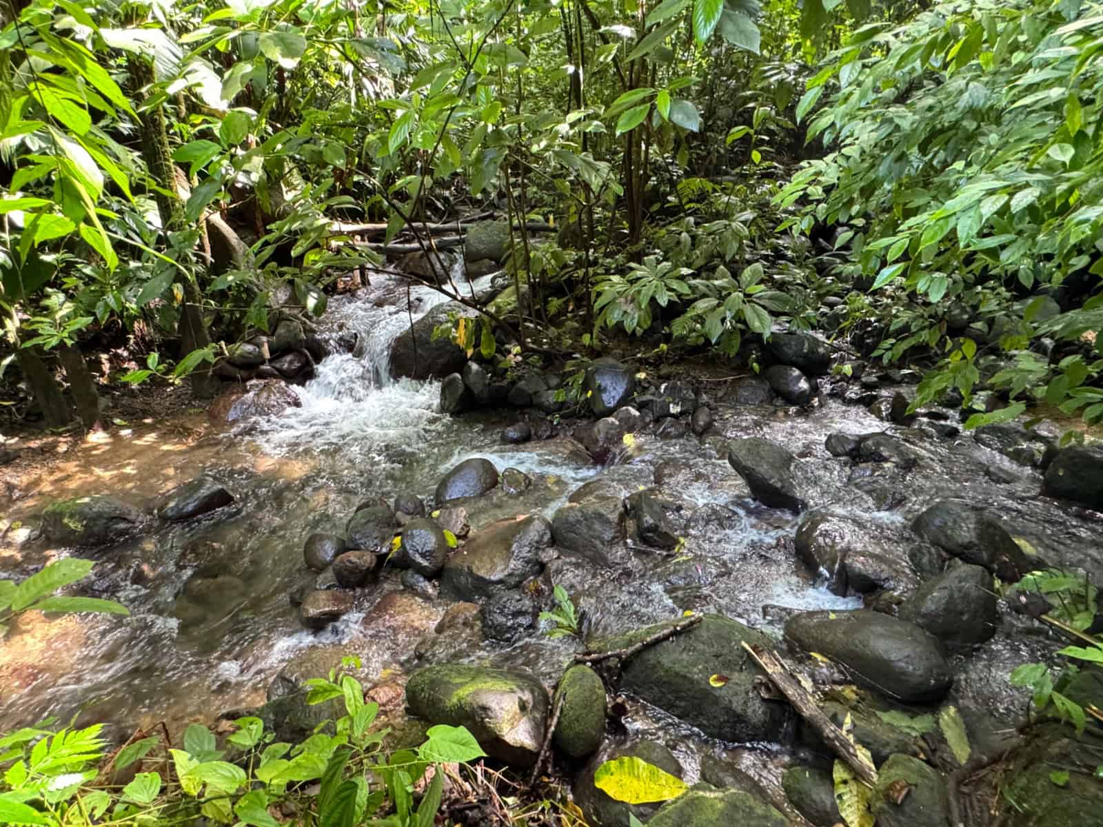 4.5 Acres of Private Ocean View Land