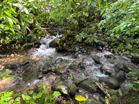 4.5 Acres of Private Ocean View Land thumbnail