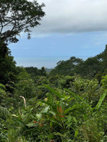4.5 Acres of Private Ocean View Land thumbnail