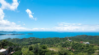 Breathtaking Pacific Heights Lot with Panoramic Mountain & Ocean Views thumbnail