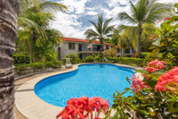 Cormoran B4: Renovated Condo Just Steps from the Ocean thumbnail