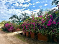 Charming 3BR Home in Private Gated Community Near the Beach thumbnail