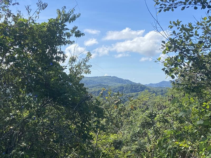 Panoramic Hillside and Valley Views from Lomas del Mar Lot 1-55, Suite Matapalo