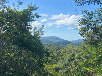 Panoramic Hillside and Valley Views from Lomas del Mar Lot 1-55, Suite Matapalo thumbnail