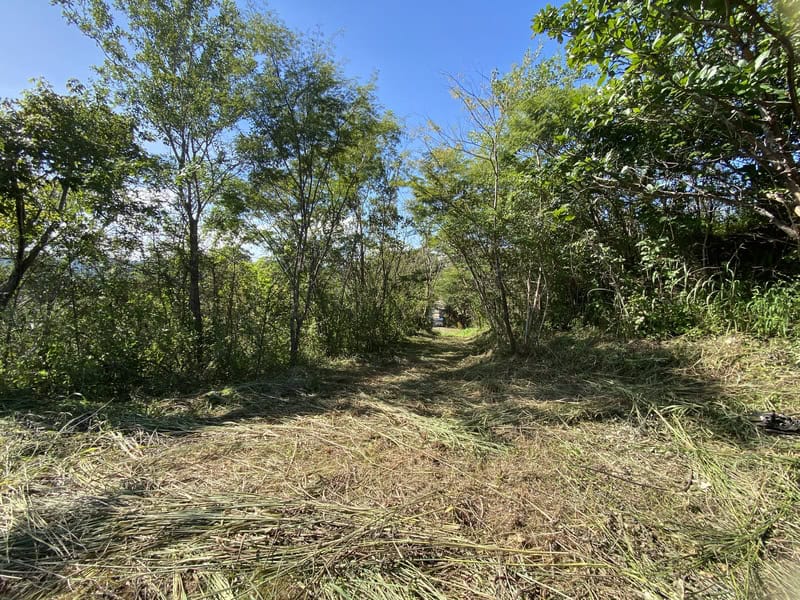 Panoramic Hillside and Valley Views from Lomas del Mar Lot 1-55, Suite Matapalo