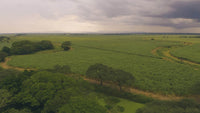 Punta Sabana & Mar Serena: Tranquility by the Coast thumbnail
