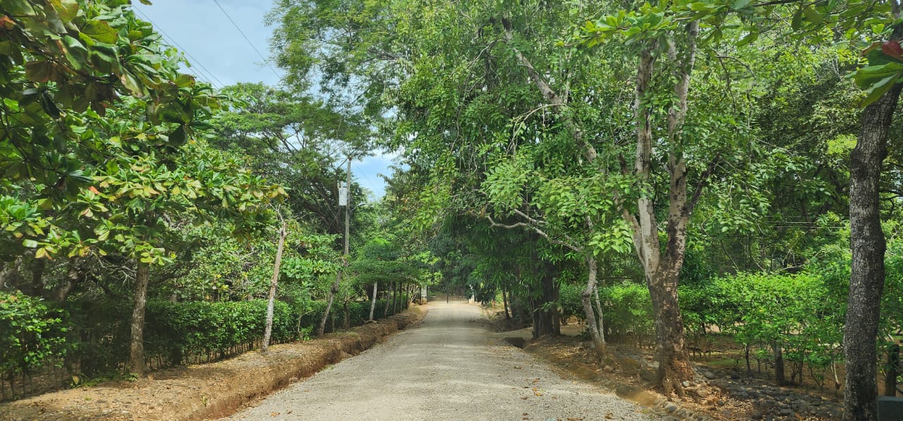 Lot 20 – Lomas de Conchal | Prime Ready-to-Build Lot Near Playa Conchal