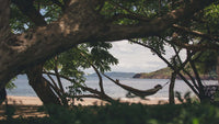 Punta Sabana & Mar Serena: Tranquility by the Coast thumbnail