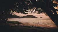 Punta Sabana & Mar Serena: Tranquility by the Coast thumbnail