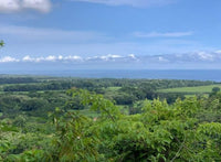 Wild Cascade in Playa Hermosa thumbnail