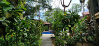Sombras Luxury, Condo Unit 502 thumbnail