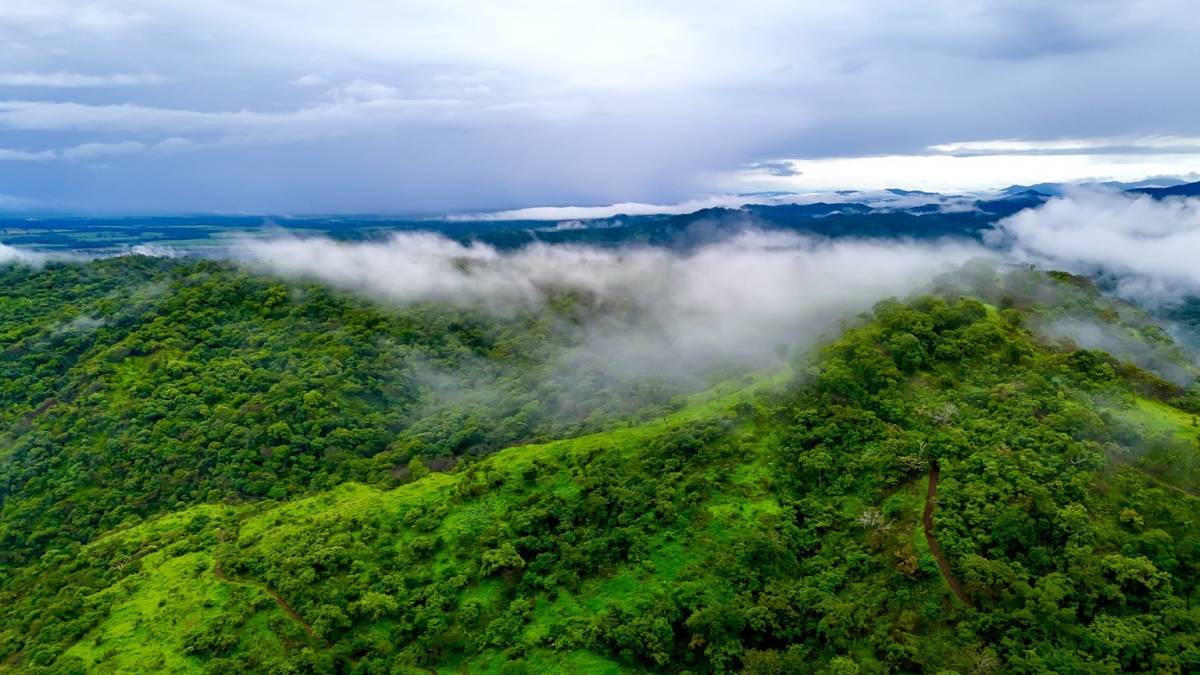 49.4 Acres Development Land – Playas del Coco