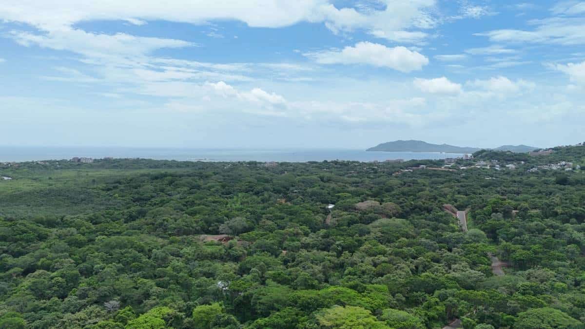 Ocean-View Land for Development