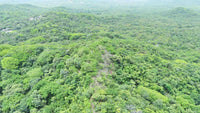 Ocean-View Land for Development thumbnail