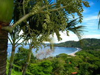 El Oasis 305 | 1BR Condo Near Playa Hermosa (300m to the Beach) thumbnail