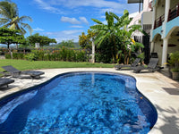 Twin Dolphins Penthouse – Prime Beachfront with Ocean & Marina Views thumbnail